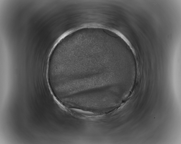 X0000086271245200704122023