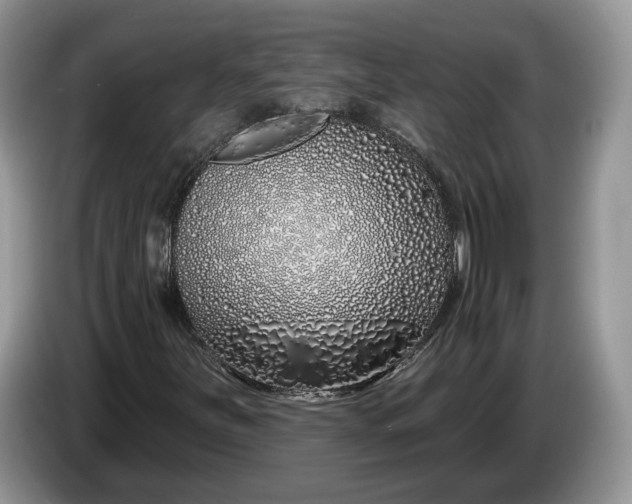 X0000086271251200704122022