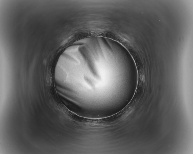 X0000086271252200704122022