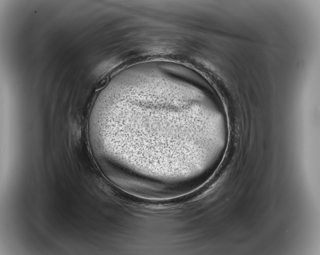 X0000086271257200704122022