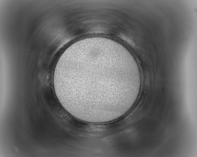 X0000086271258200704122022