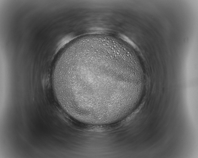 X0000086271259200704122022