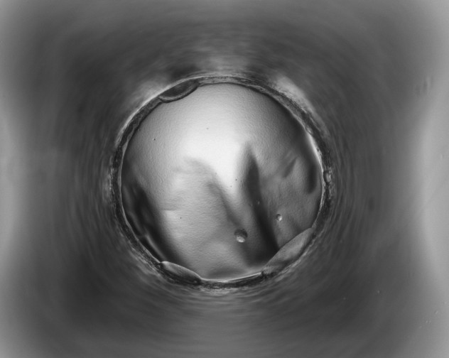 X0000086271260200704122022