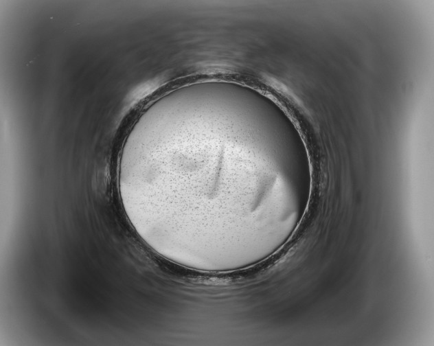 X0000086271261200704122022