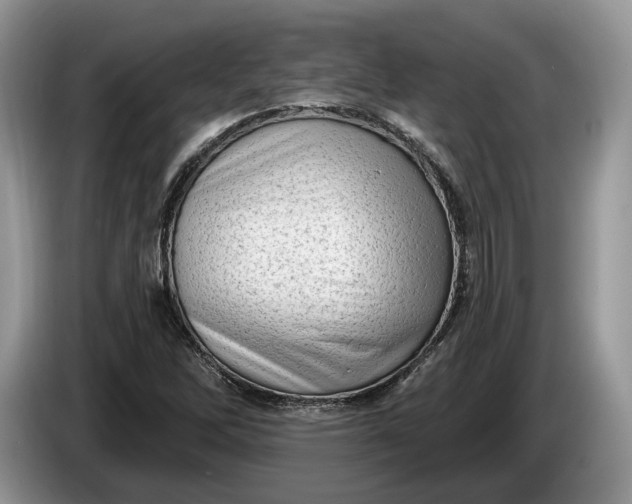 X0000086271262200704122022