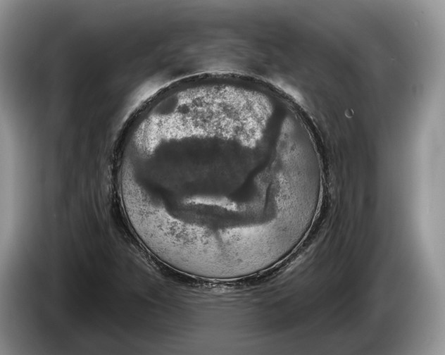 X0000086271263200704122022