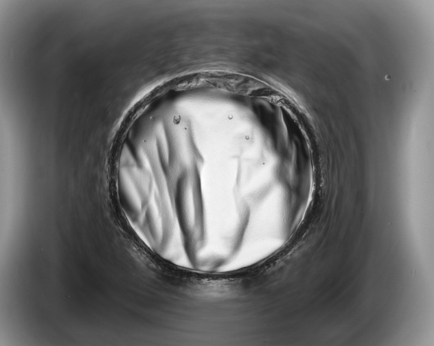 X0000086271264200704122022