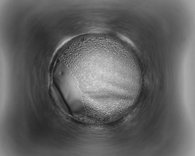 X0000086271267200704122022