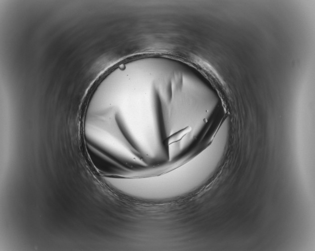 X0000086271268200704122022