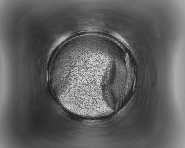 X0000086271269200704122022