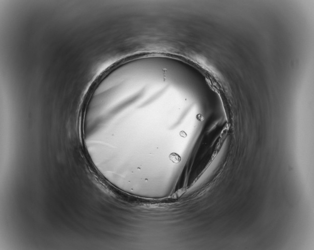 X0000086271272200704122022