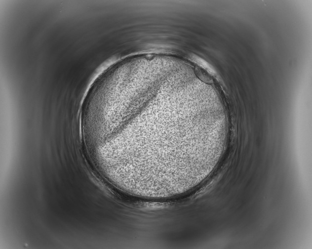 X0000086271275200704122022