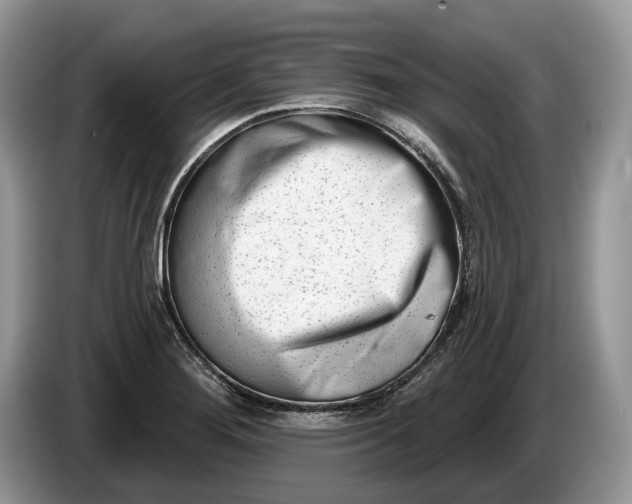 X0000086271276200704122022