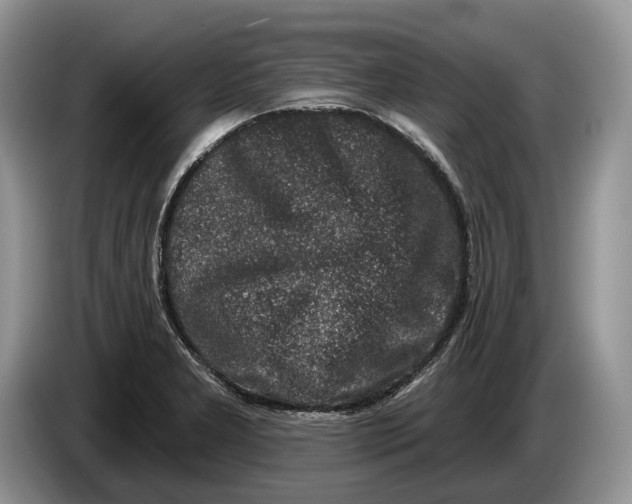 X0000086271277200704122022