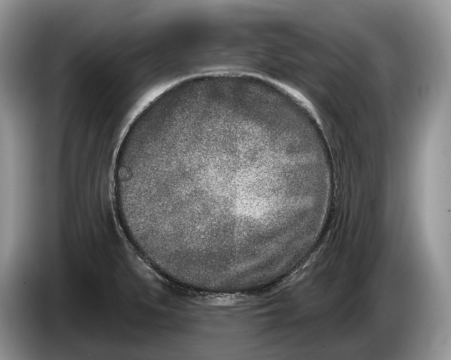 X0000086271279200704122022