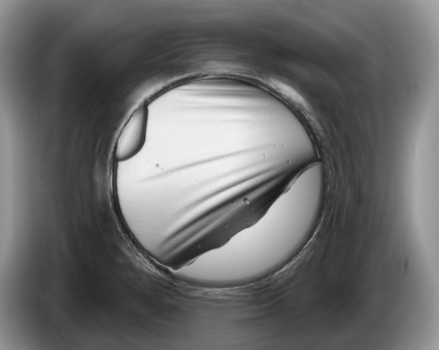 X0000086271280200704122022