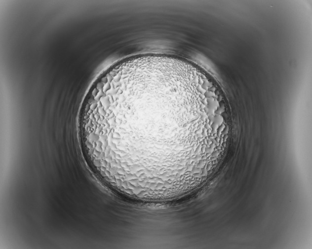 X0000086271283200704122022