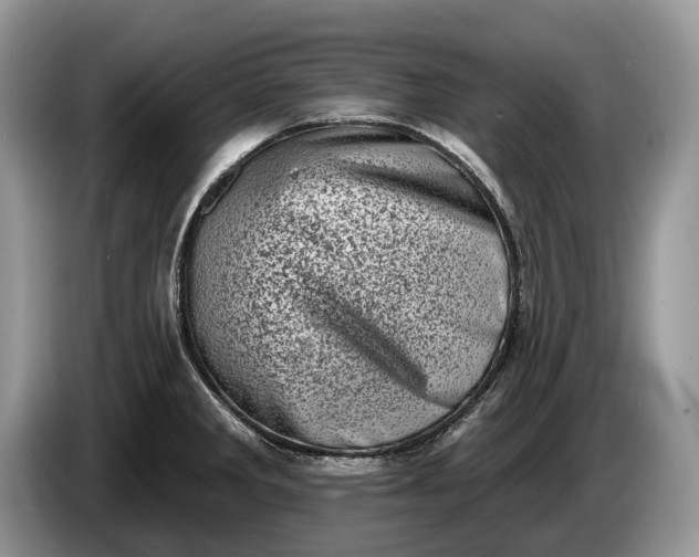 X0000086271285200704122022