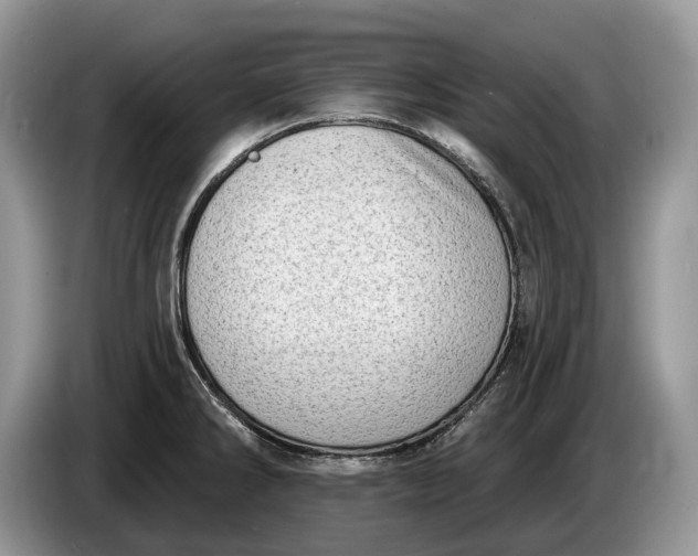 X0000086271286200704122022