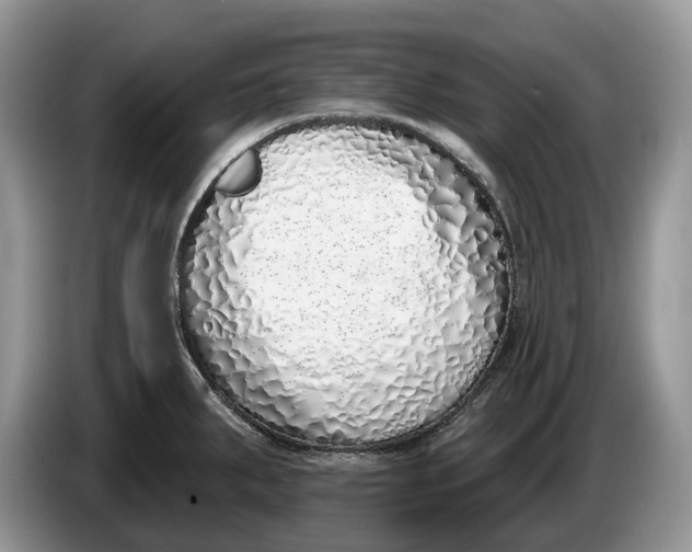 X0000086271287200704122022