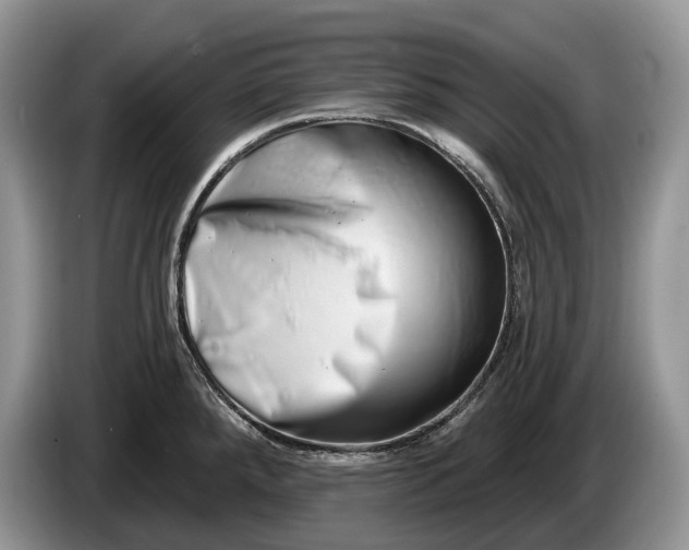 X0000086271288200704122022