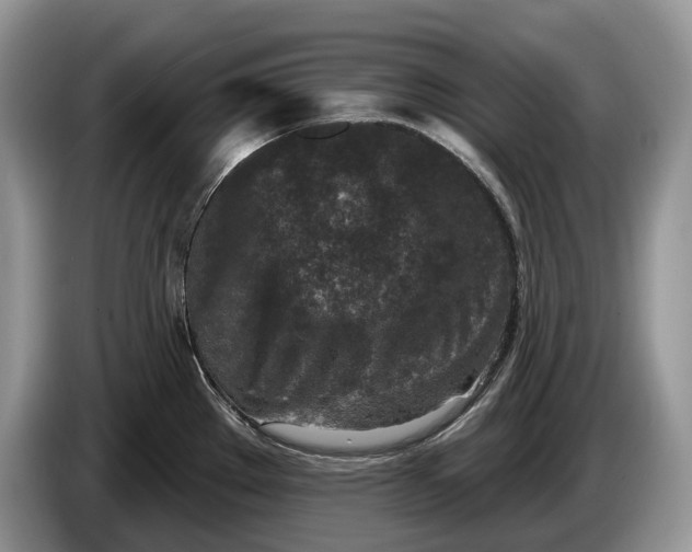 X0000086271289200704122022