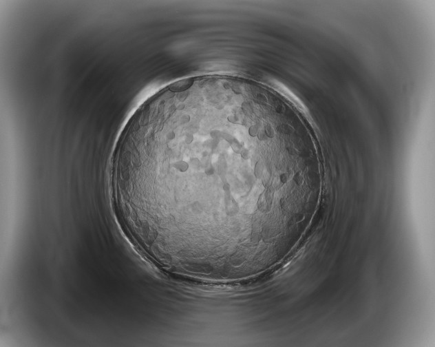 X0000086271291200704122022