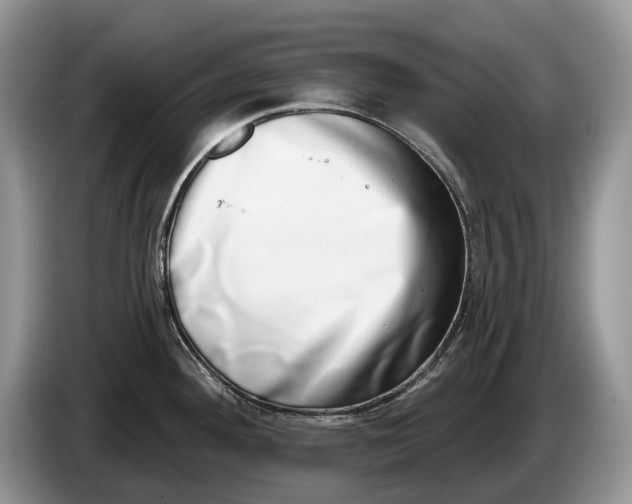 X0000086271292200704122022