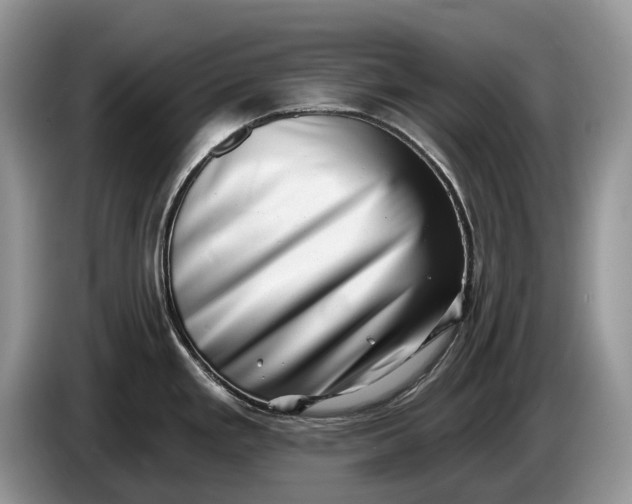 X0000086271293200704122022