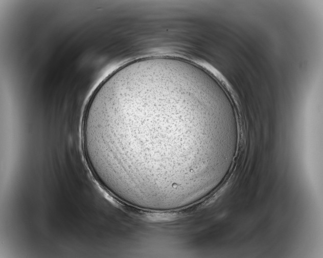 X0000086271294200704122022