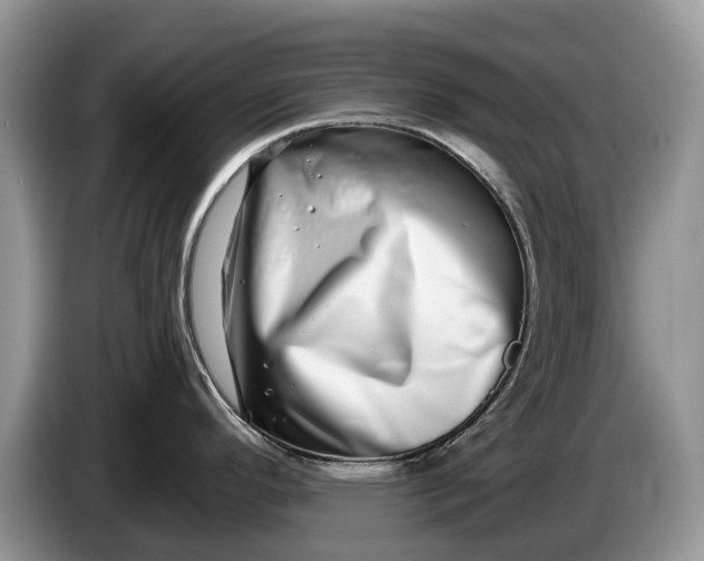 X0000086271296200704122022