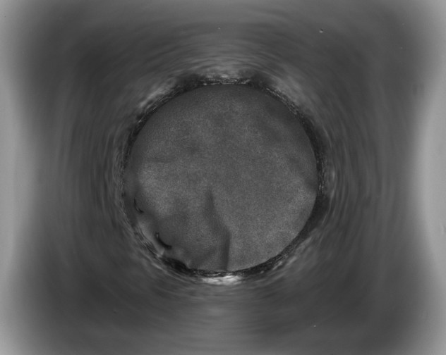 X0000086271297200704122021