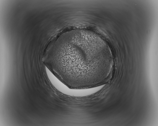 X0000086271298200704122021