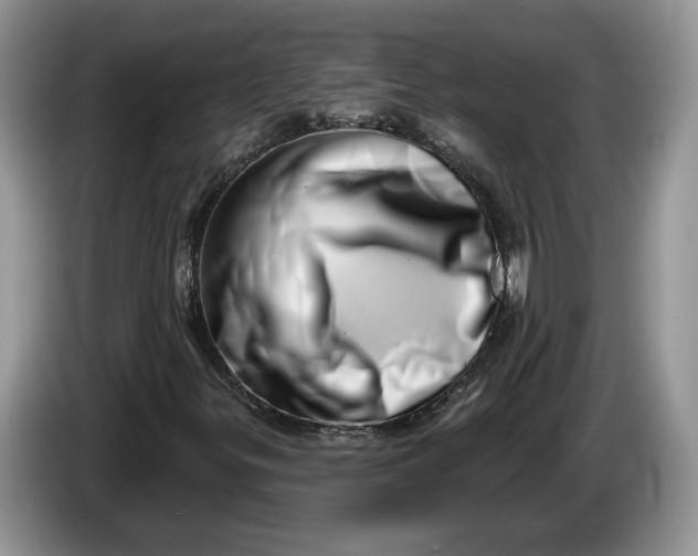 X0000086271299200704122021