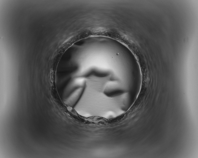 X0000086271301200704122021