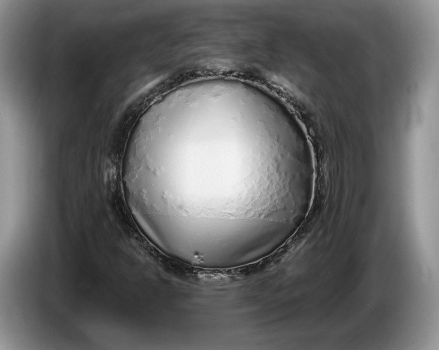 X0000086271302200704122021