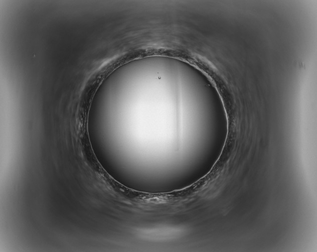 X0000086271303200704122021