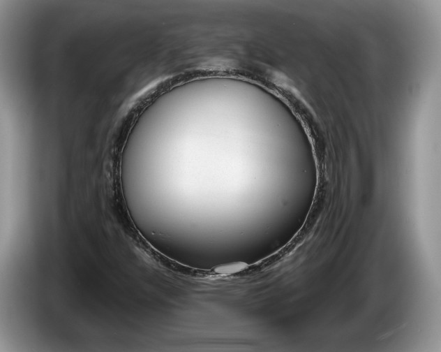 X0000086271304200704122021