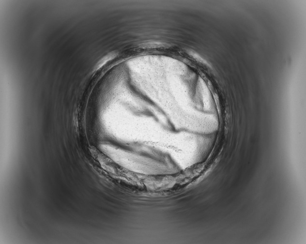 X0000086271305200704122021