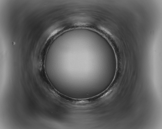 X0000086271306200704122021