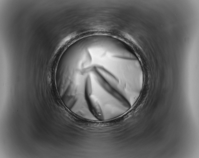 X0000086271307200704122021