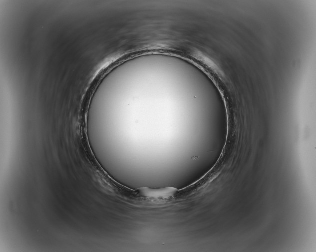 X0000086271308200704122021