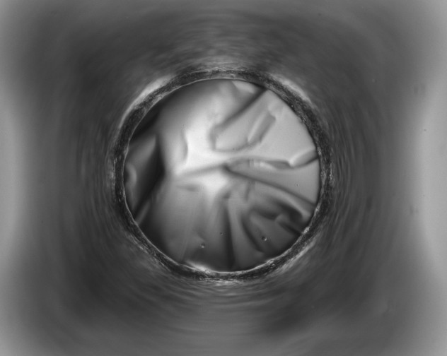 X0000086271309200704122021