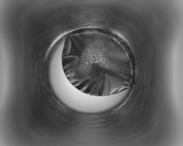 X0000086271310200704122021