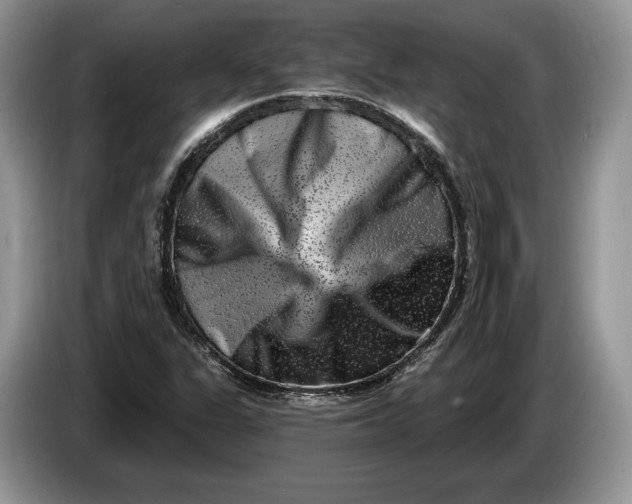 X0000086271311200704122021