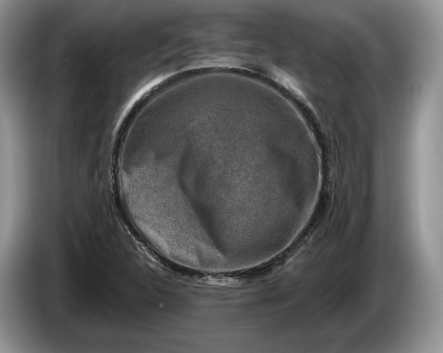 X0000086271312200704122021