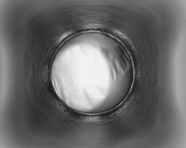 X0000086271313200704122021