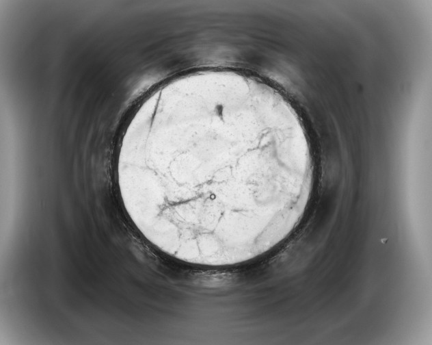 X0000086271314200704122021