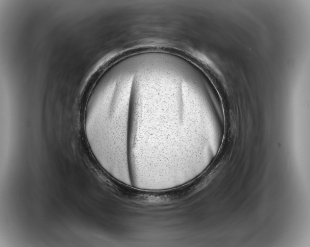 X0000086271318200704122022