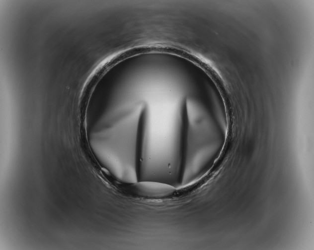 X0000086271319200704122022